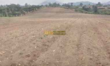 Dijual Tanah di Daerah Karo Jalan Kebun Bunga - Dolat Rayat