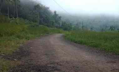 Tanah Dijual di Taraju Kabupaten Tasikmalaya