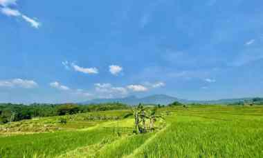 Tanah Sawah Produktif Air Mengalir View Bagus di Darangdan Purwakarta