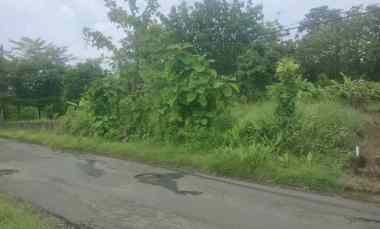 dijual tanah darat pinggir jalan raya sarwadadi