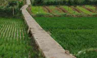 Tanah Sawah Produktif di Tomo Sumedang Lokasi Strategis