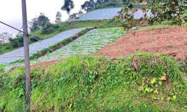 Tanah View tanpa Terhalang dekat Candi Cetho Karanganyar