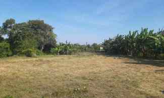 Dijual Tanah 3352 m2 dekat jl by Pass Ngurah Rai Sanur Renon Denpasar