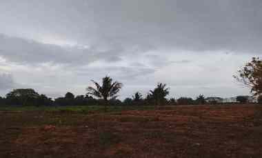 Dijual Segera Tanah dekat Pantai dan Kampung Adat Ratenggaro di Sumba