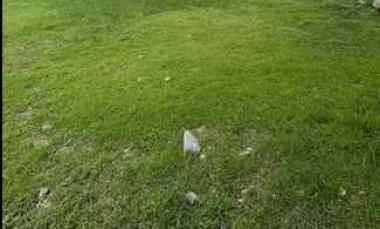 dijual tanah delta silikon lippo