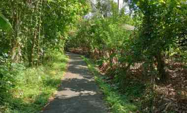 dijual tanah dengan isian penuh tanaman produktif