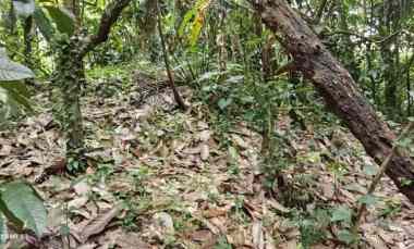 Dijual Tanah Lokasi Super Strategis dekat Lokasi Ada Air Terjun
