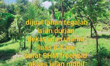 Dijual Tanah Kebun Los Sungai Murah Tempat Strategis Luas 840m