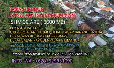 Tanah Kebun SHM, Zona Kuning Pemukiman, Pinggir Jalan, Strategis