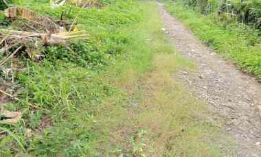 Dijual Tanah Siap Bangun di Desa Bajra,kec Selemadeg Tabanan Bali