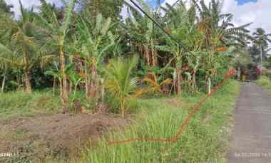 Dijual Tanah Kebun dekat Kota Tabanan Murah Tempat Strategis