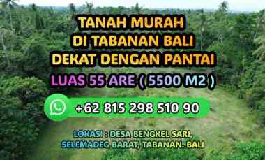 Dijual Murah Tanah Kebun di Tabanan Lokasi dekat Pantai