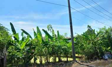Jual Cepat Tanah Driyorejo 1.700 meter Cocok Utnuk Gudang
