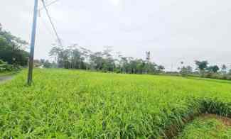 dijual tanah desa caringin wetan kec