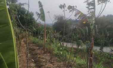 dijual tanah desa cilame kecamatan