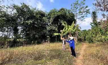 Dijual Tanah Kebun dekat Kantor Desa Cileunca Bojong Purwakarta