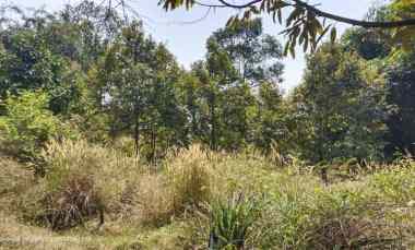 dijual tanah desa ciracas kecamatan