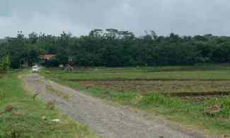 4011 m2 Sawah dekat Pintu Masuk Cikao Park, Cisalada, Jatiluhur