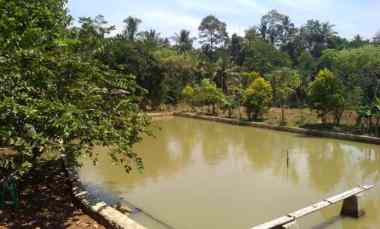 3050 m2 Kolam Ikan, Kebun Villa, Ds Garuda, Pondoksalam, Purwakarta