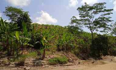Lahan di Perbukitan Desa Hata, Bakauheni, Lampung Selatan
