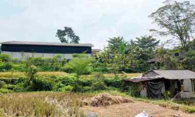 Tanah Dijual di Desa Kawungluwuk, Sukaresmi Cianjur
