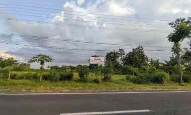 Tanah Dijual di Desa Kembiritan, Kec. Genteng, Kab. Banyuwangi