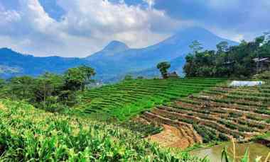 Punya Tanah di Trawas Serasa di Ubud Bali, Harga Mulai 500 Ribuan