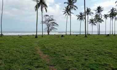 Dijual Tanah Los Pantai di Desa Lalanglingah Selemadeg Barat Tbn Bali