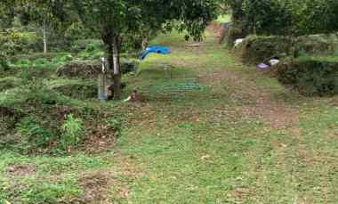 Jual Tanah Kebun Cengkeh Luas 50 are 5000 m2 Lemukih Buleleng Bali