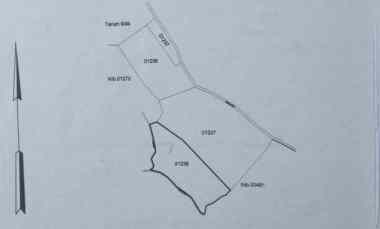 Dijual Tanah Kebun Cengkeh 59.20 are / 5920 m2 Lemukih Buleleng Bali
