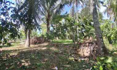 dijual tanah desa lumbung selemadeg