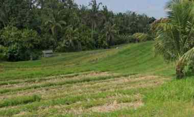 dijual tanah desa lumbung selemadeg