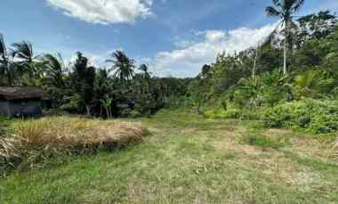 Jual Tanah Kosong Luas di Mendoyo Dauh Tukad Jembrana Bali