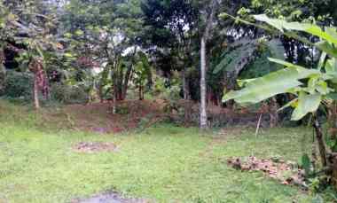 Tanah Dijual di Desa Nagrak Sukaraja