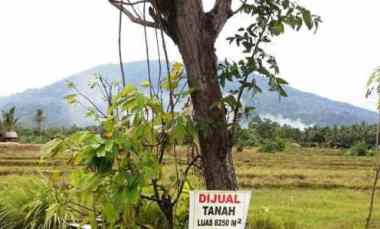 Dijual Lahan di Lokasi Strategis di Pinggir Jalan Trans Sumatra