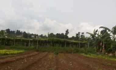 1,61 Ha Tanah untuk Peternakan Ayam, Padaasih, Cisarua, Bandung Barat