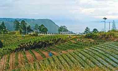 Jual Tanah View Danau Toba di Merek Karo O85I-39I3-29I3