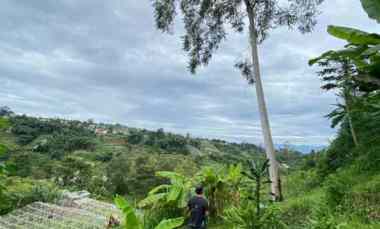 17359 m2 Tanah Kebun View Bagus, Pasirlangu, Cisarua, Bandung Barat