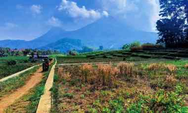 Tanah Murah dengan View Memukau di Desa Penanggungan, Trawas