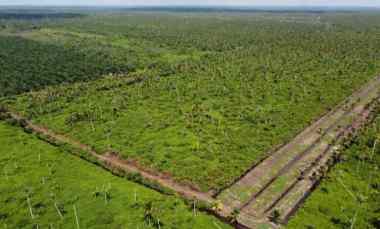 dijual tanah desa peniti kec jongkat