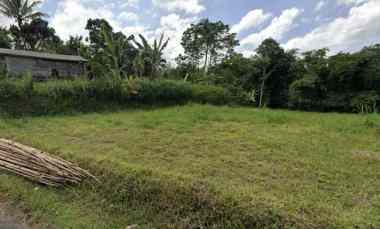 Tanah Sawah 784m Persegi-Ubud, Tegalallang, Gianyar-Bali Dijual