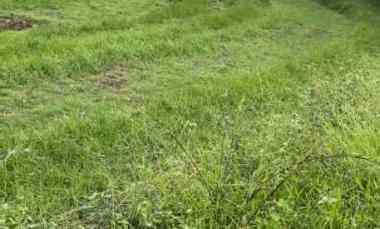 Dijual Tanah dekat Jln Utama Denpasar Gilimanuk dengan Ukuran 2000m