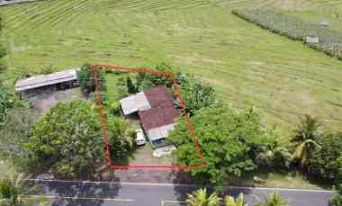 Dijual Tanah Premium View Sawah dan Laut di Selemadeg Barat Tabanan Ba
