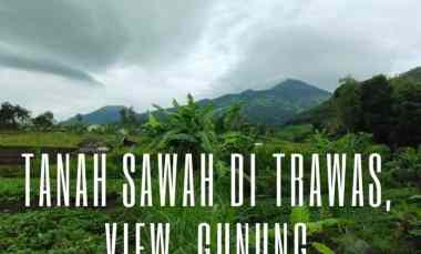 Jual Tanah Sawah di Trawas, View Gunung, Cocok untuk Investasi