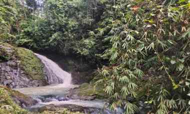 dijual tanah desa wisata dalang