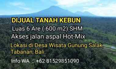 Dijual Tanah Kebun SHM 6 are di Desa Wisata Gunung Salak