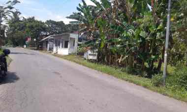 dijual tanah di desa pakusari jember