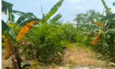 Dijual Tanah di Jaten Gede Pedurungan Semarang