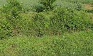 Dijual Tanah di Jetis Mojokerto