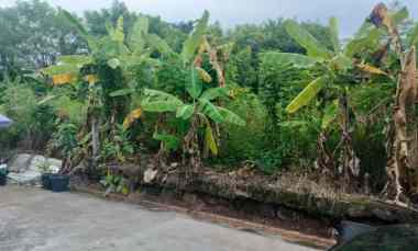 Dijual Tanah di Jrobang Ngesrep Banyumanik Semarang